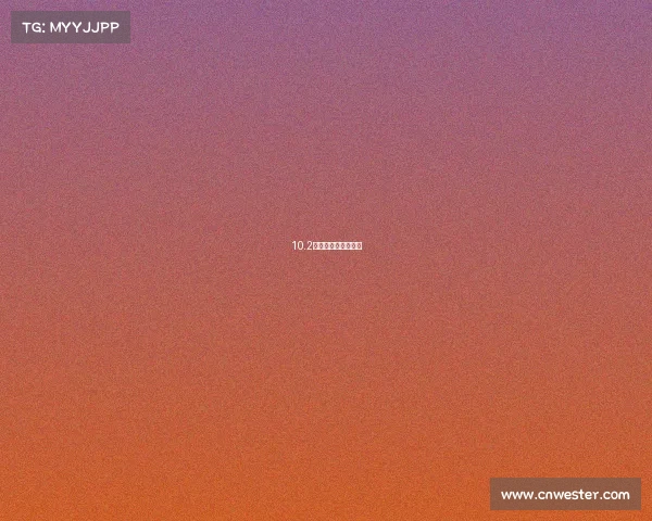 10.2中网赛事中网公开赛