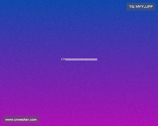 ATP网球赛事冠军奖金深度剖析高额回报激励选手拼搏之路