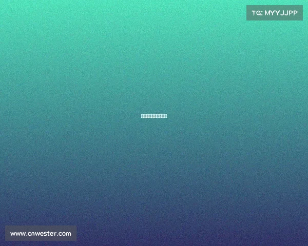 中国对意大利女排结果