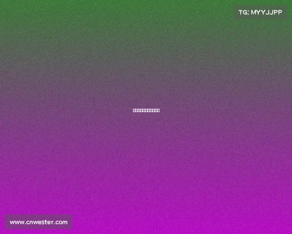 义乌有哪些搏击赛事比赛